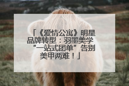 《爱情公寓》明星品牌转型：羽墨美学“一站式团单”告别美甲两难！