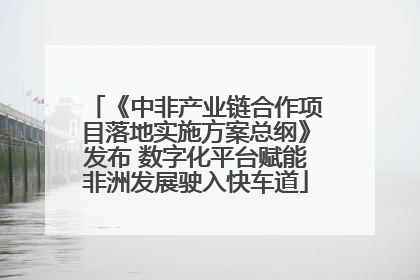 《中非产业链合作项目落地实施方案总纲》发布 数字化平台赋能非洲发展驶入快车道