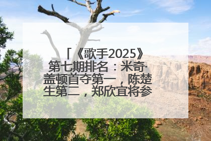 《歌手2025》第七期排名：米奇·盖顿首夺第一，陈楚生第二，郑欣宜将参加下一轮张榜赛