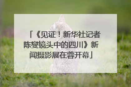 《见证！新华社记者陈燮镜头中的四川》新闻摄影展在蓉开幕