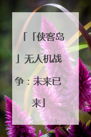 「侠客岛」无人机战争：未来已来