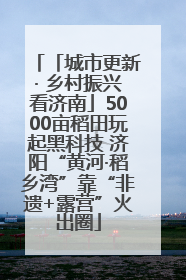 「城市更新· 乡村振兴看济南」5000亩稻田玩起黑科技 济阳“黄河·稻乡湾”靠“非遗+露营”火出圈