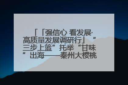 「强信心 看发展·高质量发展调研行」“三步上篮”托举“甘味”出海——秦州大樱桃高质量发展动作分解