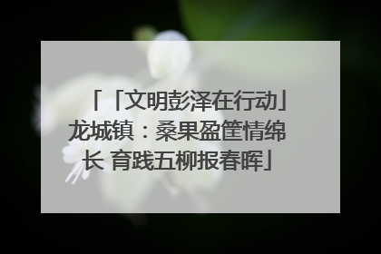 「文明彭泽在行动」龙城镇：桑果盈筐情绵长 育践五柳报春晖