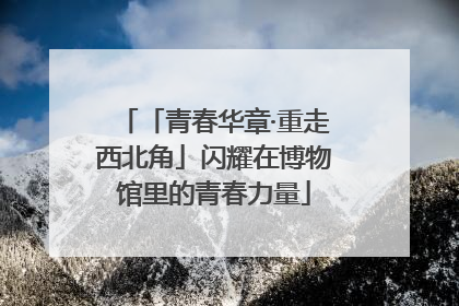 「青春华章·重走西北角」闪耀在博物馆里的青春力量