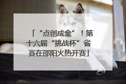 “点创成金”！第十六届“挑战杯”省赛在邵阳火热开赛