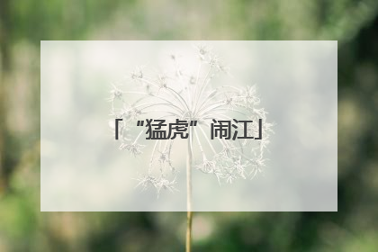 “猛虎”闹江