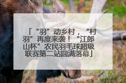 “羽”动乡村，“村羽”再度来袭！“江郎山杯”农民羽毛球超级联赛第二站圆满落幕
