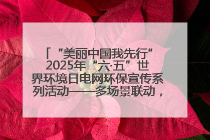 “美丽中国我先行” 2025年“六·五”世界环境日电网环保宣传系列活动——多场景联动，共筑生态发展新图景