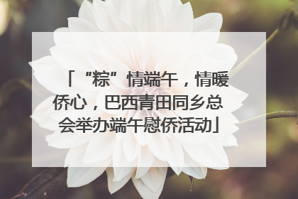 “粽”情端午，情暖侨心，巴西青田同乡总会举办端午慰侨活动