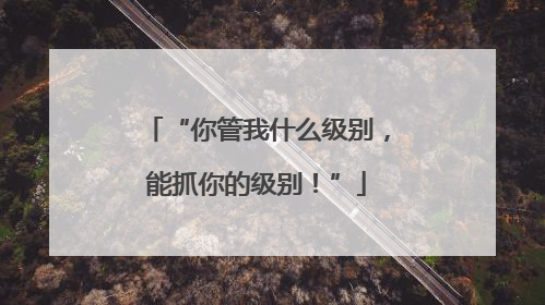 “你管我什么级别，能抓你的级别！”