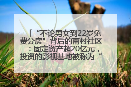 “不论男女到22岁免费分房”背后的南村社区：固定资产超20亿元，投资的影视基地被称为“山村好莱坞”