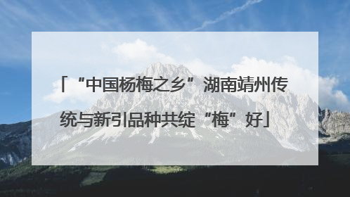 “中国杨梅之乡”湖南靖州传统与新引品种共绽“梅”好