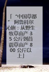 “中国草都” 阿鲁科尔沁旗：从野生牧草亩产 35 公斤到苜蓿草亩产 800 公斤以上