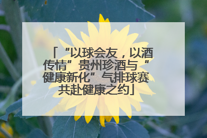 “以球会友，以酒传情”贵州珍酒与“健康新化”气排球赛共赴健康之约