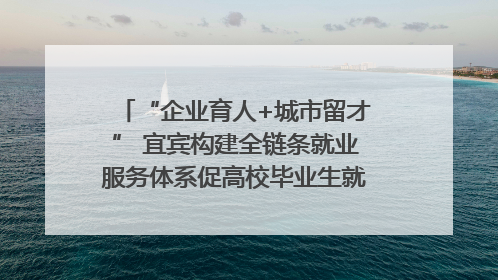 “企业育人+城市留才” 宜宾构建全链条就业服务体系促高校毕业生就业｜您牵挂的四川