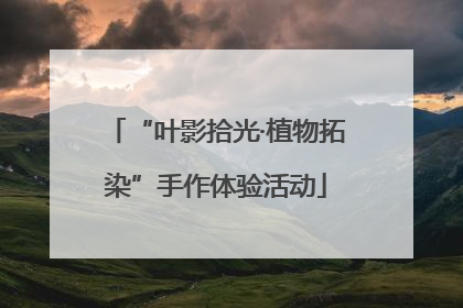 “叶影拾光·植物拓染”手作体验活动