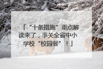 “十条措施”重点解读来了，事关全省中小学校“校园餐”！
