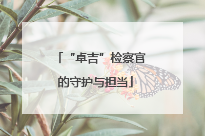 “卓吉”检察官的守护与担当