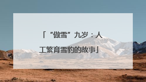 “傲雪”九岁：人工繁育雪豹的故事