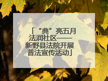 “典”亮五月 法润社区——新野县法院开展普法宣传活动