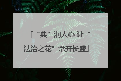 “典”润人心 让“法治之花”常开长盛