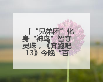 “兄弟团”化身“神鸟”智夺灵珠，《奔跑吧13》今晚“百谷之王”花落谁家？