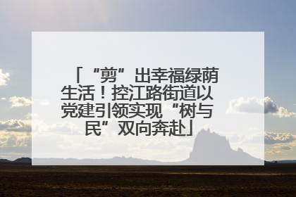 “剪”出幸福绿荫生活！控江路街道以党建引领实现“树与民”双向奔赴