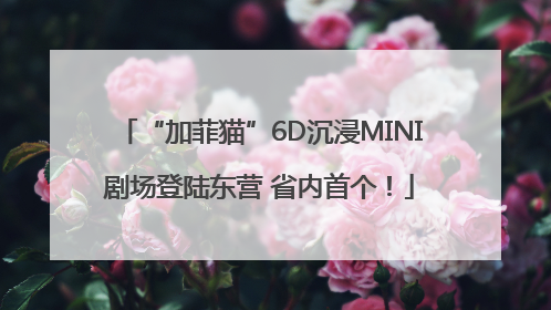 “加菲猫”6D沉浸MINI剧场登陆东营 省内首个！