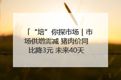 “培”你探市场｜市场供增需减 猪肉价同比降3元 未来40天便宜猪肉敞开吃