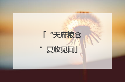 “天府粮仓”夏收见闻
