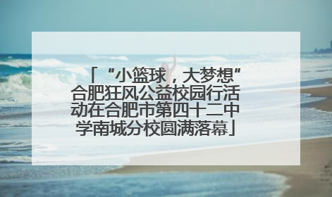 “小篮球，大梦想”合肥狂风公益校园行活动在合肥市第四十二中学南城分校圆满落幕