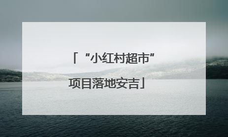 “小红村超市”项目落地安吉