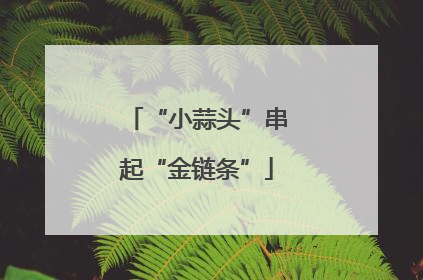 “小蒜头”串起“金链条”