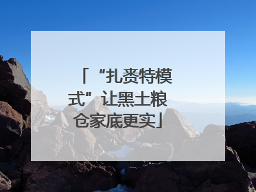 “扎赉特模式”让黑土粮仓家底更实