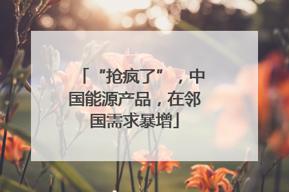 “抢疯了”，中国能源产品，在邻国需求暴增