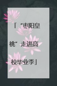 “枣阳皇桃”走进高校毕业季