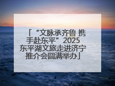“文脉承齐鲁 携手赴东平”2025东平湖文旅走进济宁推介会圆满举办