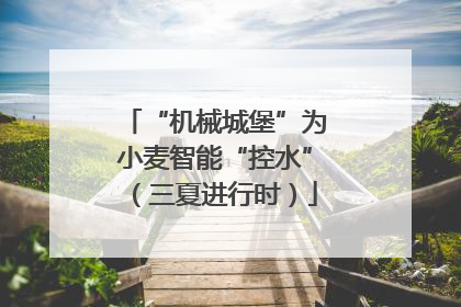 “机械城堡”为小麦智能“控水”（三夏进行时）