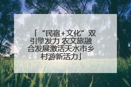 “民宿+文化”双引擎发力 农文旅融合发展激活天水市乡村游新活力