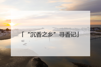 “沉香之乡”寻香记