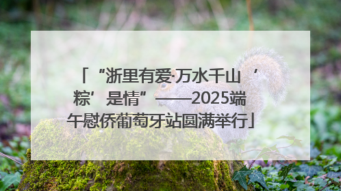 “浙里有爱·万水千山‘粽’是情”——2025端午慰侨葡萄牙站圆满举行