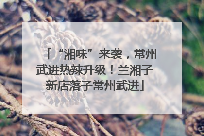 “湘味”来袭，常州武进热辣升级！兰湘子新店落子常州武进