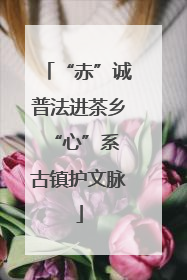 “赤”诚普法进茶乡 “心”系古镇护文脉