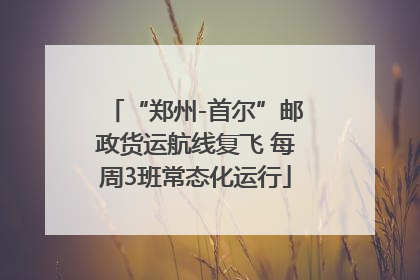 “郑州-首尔”邮政货运航线复飞 每周3班常态化运行