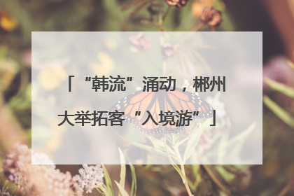 “韩流”涌动，郴州大举拓客“入境游”