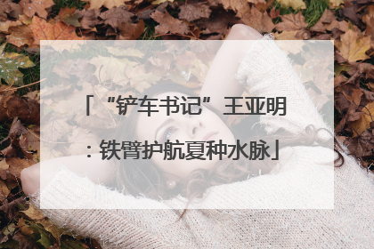 “铲车书记”王亚明：铁臂护航夏种水脉