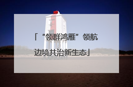 “领群鸿雁”领航边境共治新生态