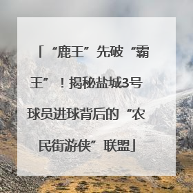 “鹿王”先破“霸王”！揭秘盐城3号球员进球背后的“农民街游侠”联盟