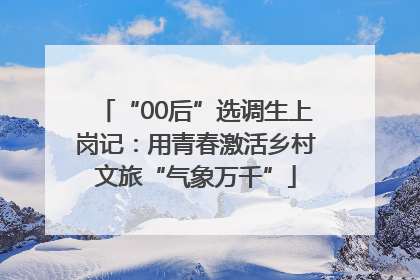 “00后”选调生上岗记：用青春激活乡村文旅“气象万千”